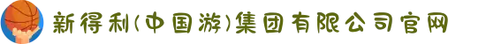 新得利(中国游)集团有限公司官网